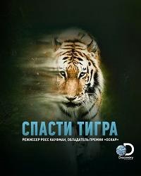 Спасти тигра (2019) смотреть онлайн